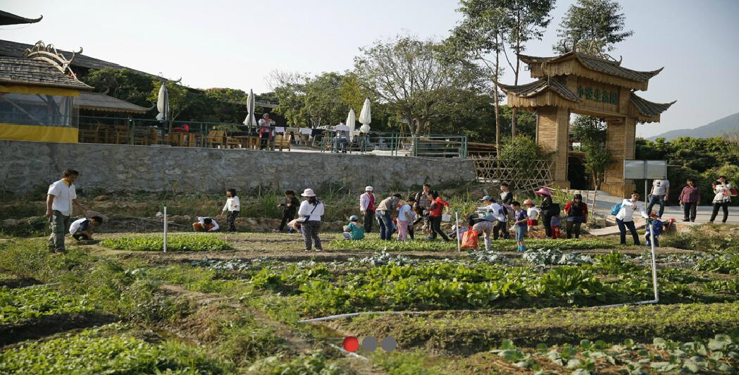 春暖花開，我們?nèi)ゴ河危?></div>
            </a></li>
                    <li id=